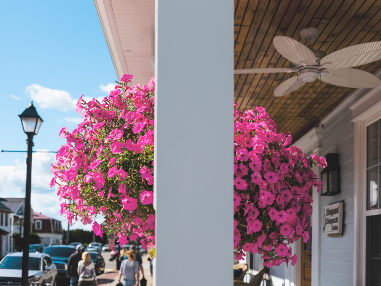 Looking at St. Andrews - the post