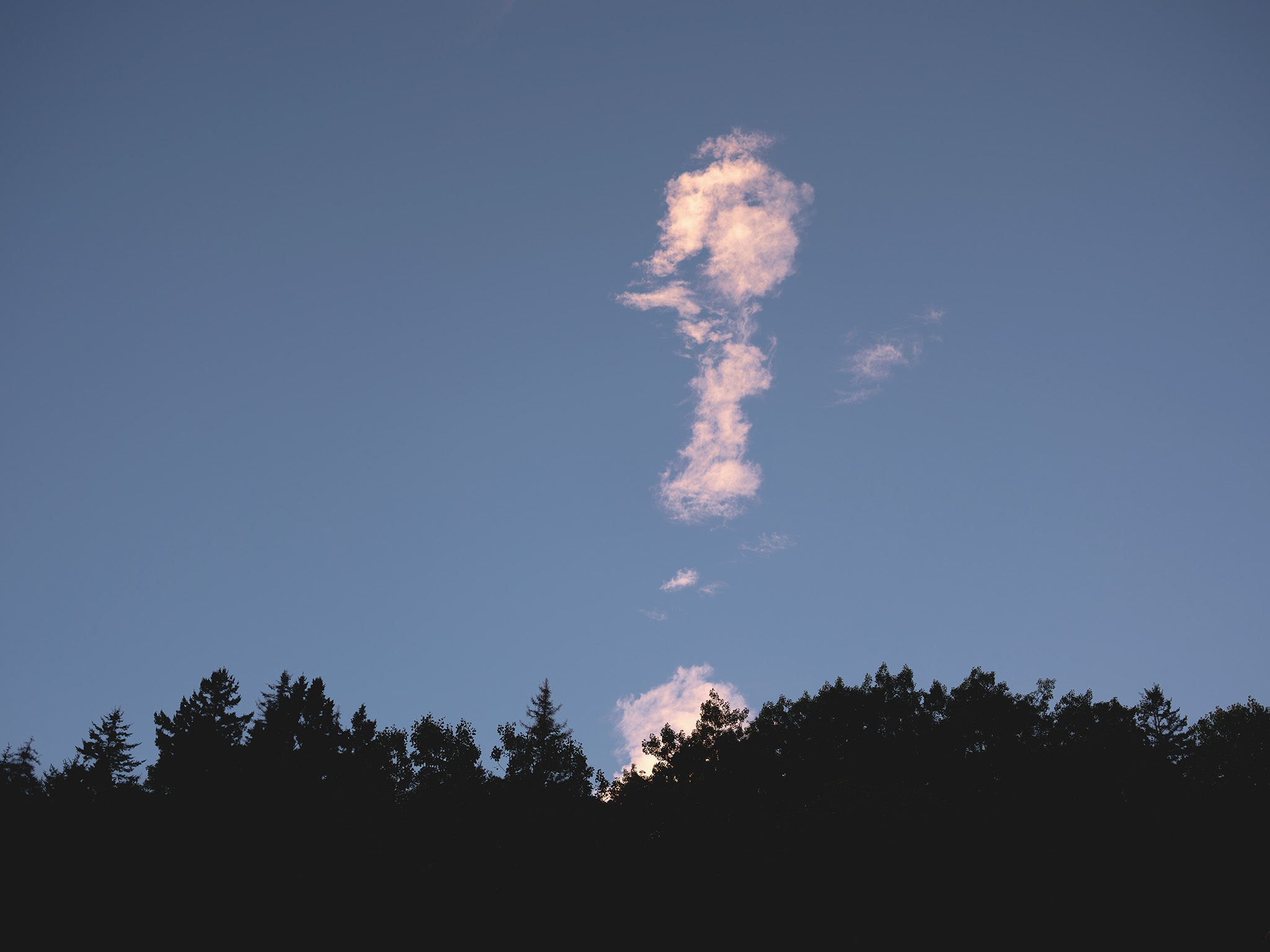 In this work, the ephemeral nature of the landscape is caught in a moment of quiet transition. A singular, vertically oriented cloud formation catches the terminal rays of daylight, standing like a luminous monument above the dark, graphic silhouette of the tree line. The photograph explores the tension between the enduring weight of the earth and the fleeting poetry of the sky.