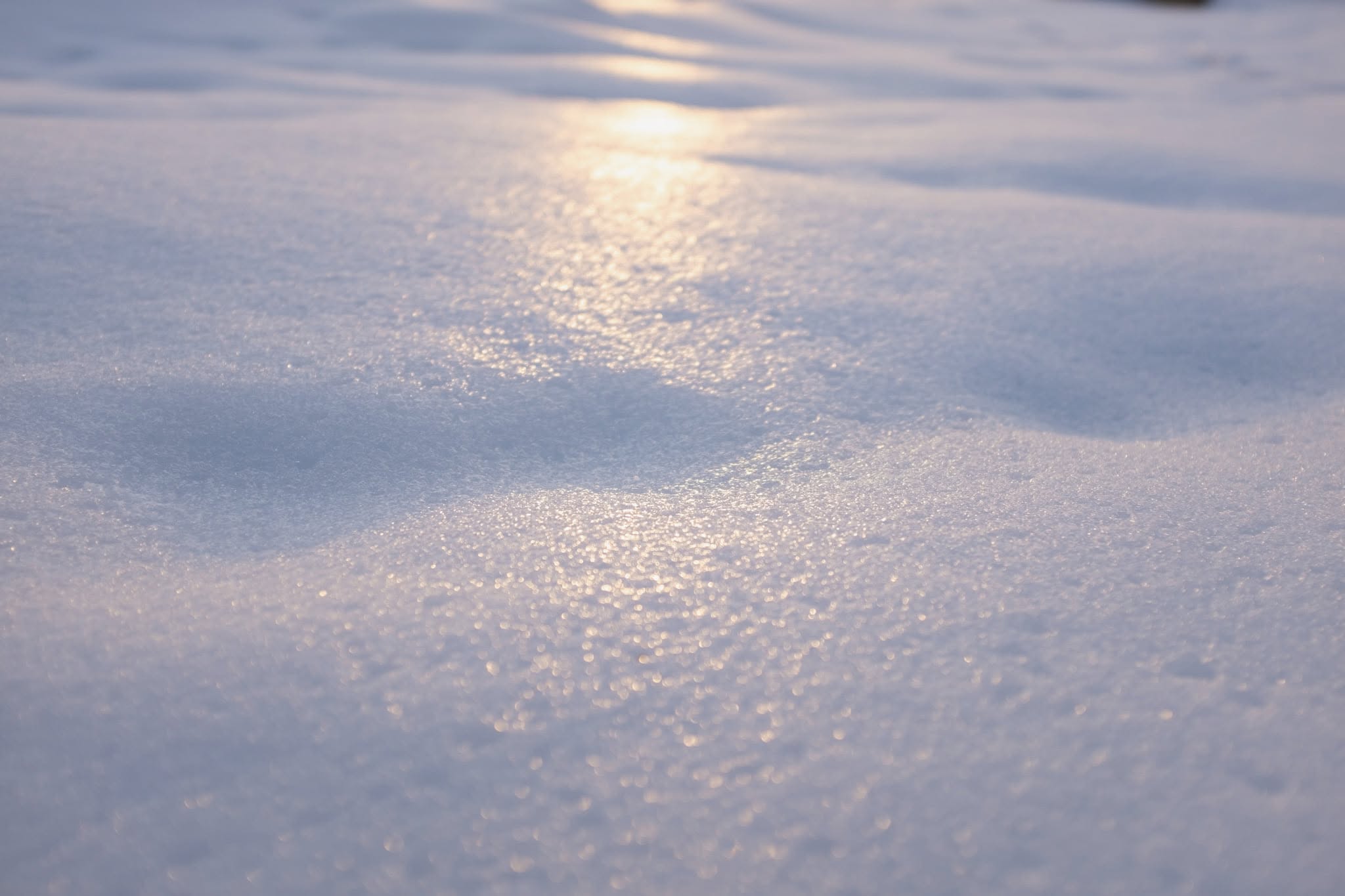 A low-angle, intimate macro perspective captures the ephemeral texture of a snow-covered surface, transforming a simple winter landscape into a study of light, form, and luminosity. The composition is defined by soft, undulating drifts that create gentle swells and hollows across the canvas. 