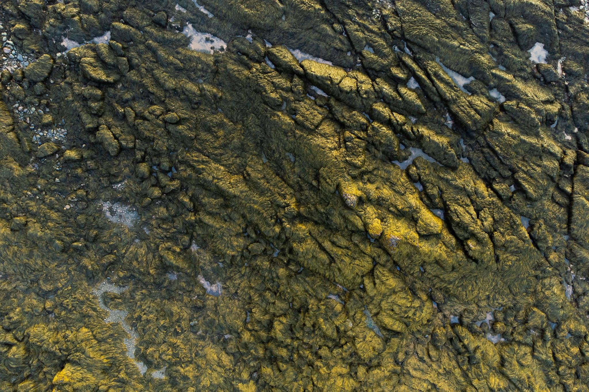 An aerial, top-down perspective captures a rugged, deeply textured terrain covered in dense, dark green and golden-brown seaweed. The surface is heavily fractured by dramatic, diagonal ridges and deep crevices that run across the frame, creating a strong sense of directional movement. 